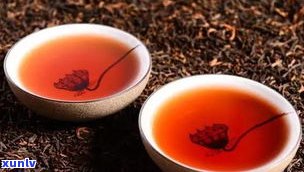 为什么茶叫普洱茶-为什么茶叫普洱茶呢
