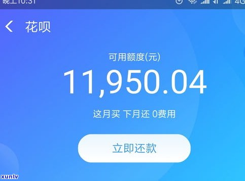 1069050953、1069051053、10690749、1069268153是不是为花呗号码？