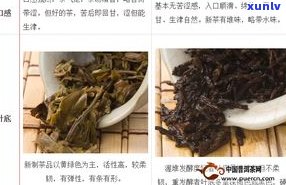 黑茶是否为普洱茶？探讨两者区别及黑茶身份定义