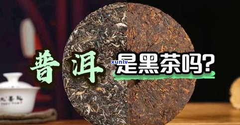 黑茶是否为普洱茶-黑茶是否为普洱茶类