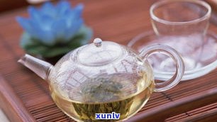 小罐茶普洱茶多少钱一罐？功效、冲泡方法全解析，真的好喝吗？