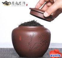 普洱茶小罐茶价格-普洱茶小罐茶价格查询