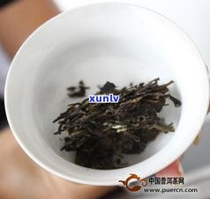 普洱茶饼生茶的正确冲泡方法与技巧