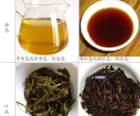 龙芮茶普洱茶熟茶-龙芮普洱茶怎么样