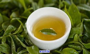 黄茶普洱茶黄点茶-普洱 黄点