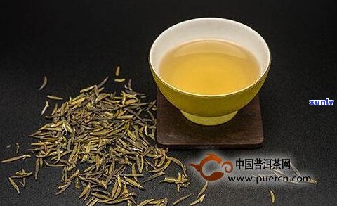 黄茶普洱茶黄点茶-普洱 黄点