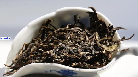 普洱茶叶底解析：为何一揉就烂？如何区分好坏？