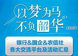 兴川信用社：加油优惠政策、农信卡服务及联系方法全攻略