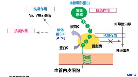 进行茶马贸易所形成的路线及其客观原因和意义