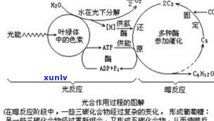 进行茶马贸易所形成的路线及其客观原因和意义