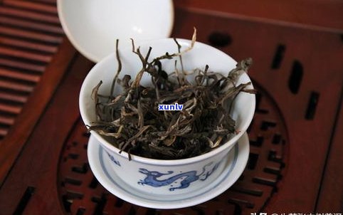 普洱茶饼取茶视频-普洱茶饼取茶视频教程