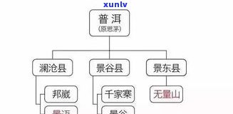 普洱茶属于哪种类型的茶？探究其分类归属