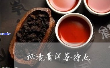 普洱茶属于什么茶类型的茶？详解其类别与特点