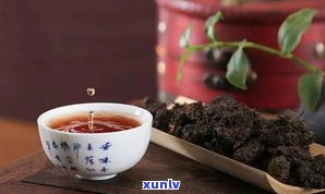 新普洱茶有茶腥味吗？了解其原因与是否适宜饮用