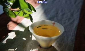 普洱茶有点腥味，怎么回事？是好茶吗？