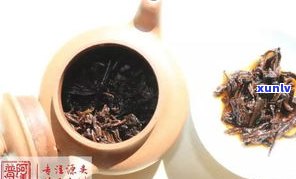 普洱熟茶哪种最好？口感、香气全面评测