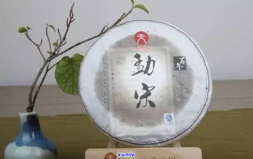 普洱茶苦茶有几种-普洱茶苦茶有几种品种