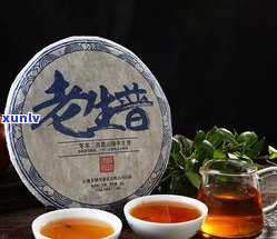 熟普洱茶致癌是肯定的：为何不建议长期饮用？熟悉熟普洱与生普洱区别、正确冲泡方法及功效