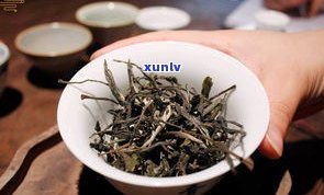 全面解析：普洱茶古树茶的功效与禁忌