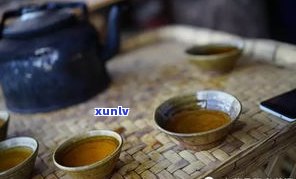 吉普：什么茶？什么品牌？什么品种？有何功效？