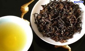 吉普：什么茶？什么品牌？什么品种？有何功效？