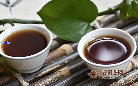 吉普茶是普洱茶吗-吉普茶是普洱茶吗