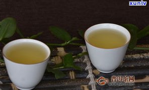 吉普茶是普洱茶吗-吉普茶是普洱茶吗