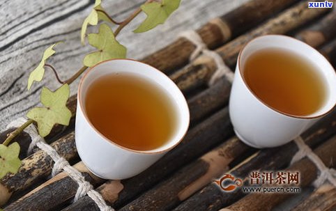 吉普茶是普洱茶吗-吉普茶是普洱茶吗