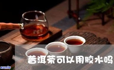 大口中普洱茶图片大全：高清欣赏真实中展现