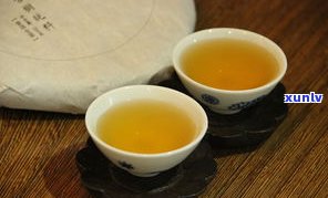 种茶大口中普洱茶-种茶大口中普洱茶是什么