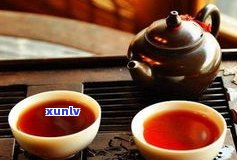 茯茶与普洱茶：口感、品质及健康效益的比较