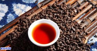 茯茶和普洱茶的功效与作用及其区别、禁忌与全面解析