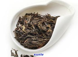 茯茶和普洱茶比较-茯茶和普洱茶比较哪个好