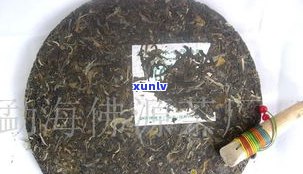 普洱生茶长啥样？看图熟悉其形态特征！