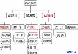 普洱生茶长啥样？看图了解其形态特征！