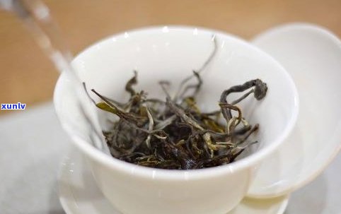 普洱茶古树茶：熟茶与生茶的口感对比