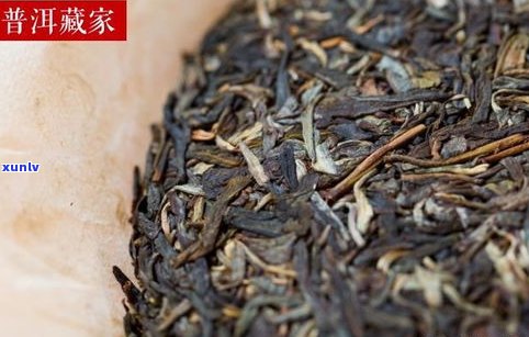 普洱古树茶：生茶还是熟茶？探讨哪种更好