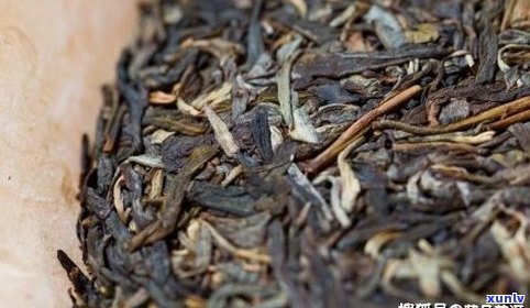 茶叶普洱生茶：与熟茶的区别、选择及2008年品种介绍