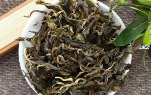 茶叶普洱生茶：与熟茶的区别、选择及2008年品种介绍