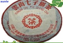 中茶普洱茶的代号-中茶普洱茶的代号是什么