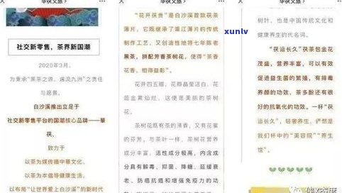 嵩顶茶业官方网站：一站式了解公司及产品信息