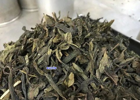 普洱黄金叶茶的特点：口感醇厚，色泽金黄，具有降脂减肥、抗氧化等功效。