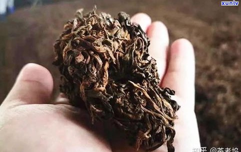 普洱茶老茶怎么玩-普洱老茶怎么泡好喝