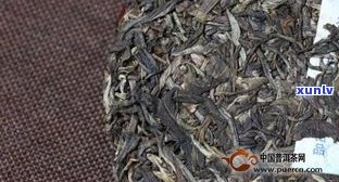 生茶普洱茶价格：新茶与老茶的区别及市场行情分析