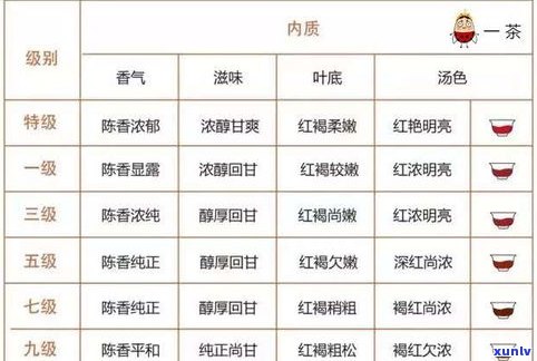 荣昌号普洱茶在全国的排名：揭秘其品质与市场地位