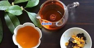 云南茶博会普洱茶-云南茶博会普洱茶咖融合受追捧