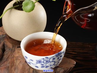 老普洱茶没茶香味正常吗？详解原因及解决方法