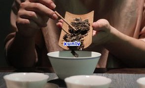 深入解析：中国普洱茶与缘茶的关系及种类