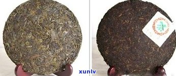 紧茶与普洱茶的区别：品质特征及制作工艺解析