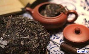 全面了解普洱紧压茶熟茶的功效、作用及其禁忌